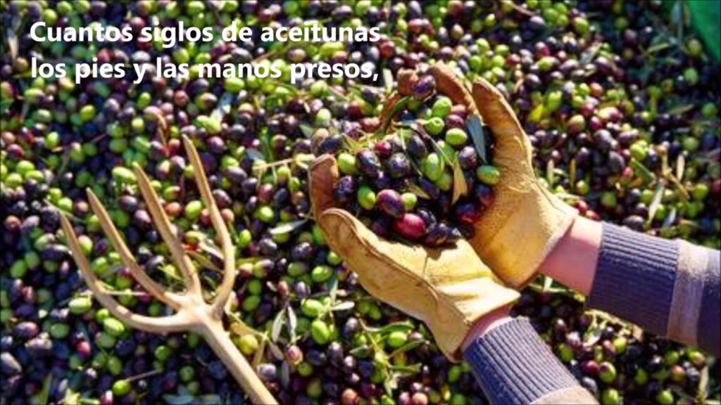 andaluces de jaen paroles