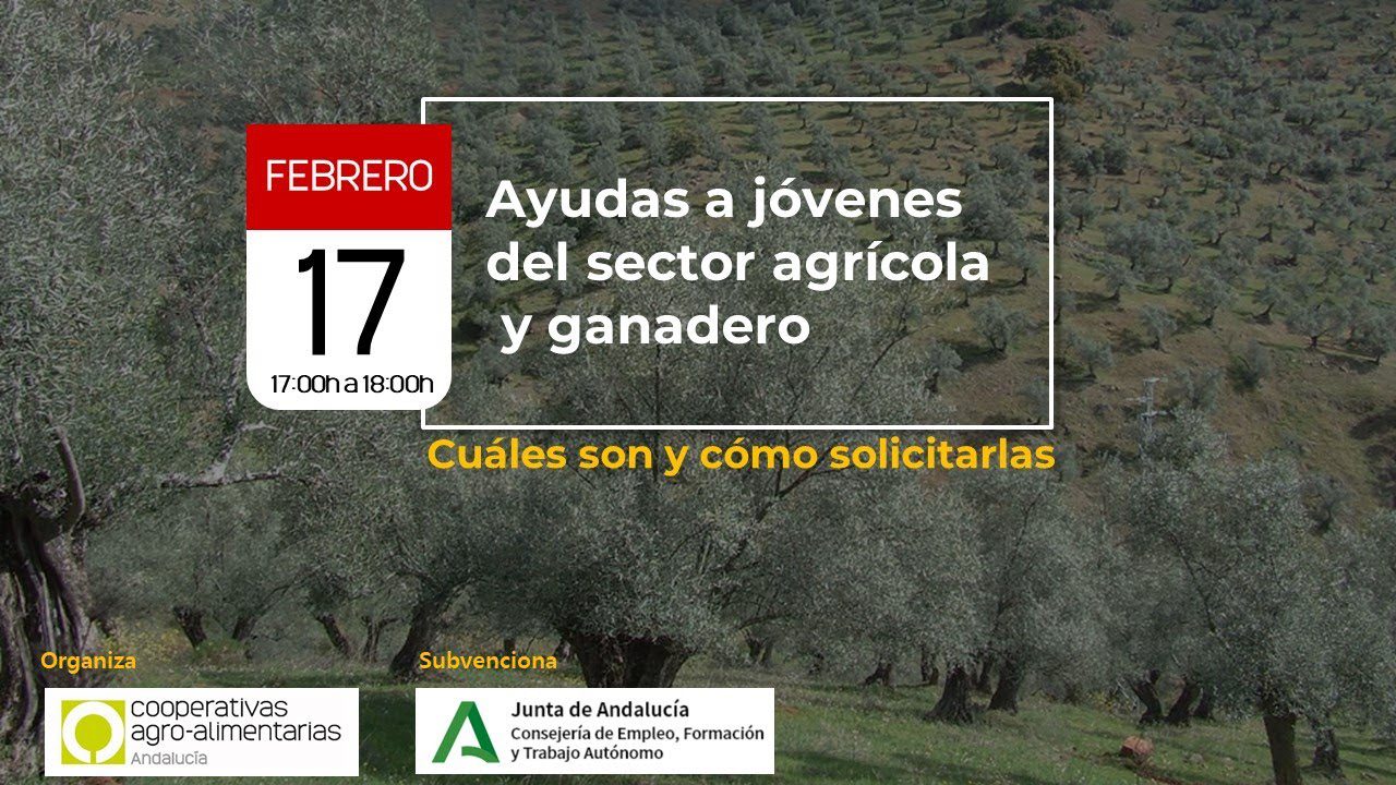 ayudasprimerainstalacionjovenesagricultoresandalucia Andalucía Noticias 24h ayudas primera instalacion jovenes agricultores andalucia