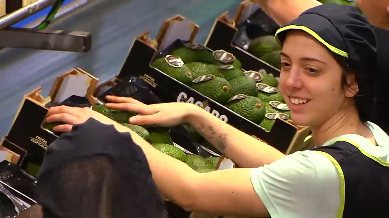 empresasagricolasandalucia Andalucía Noticias 24h empresas agricolas andalucia