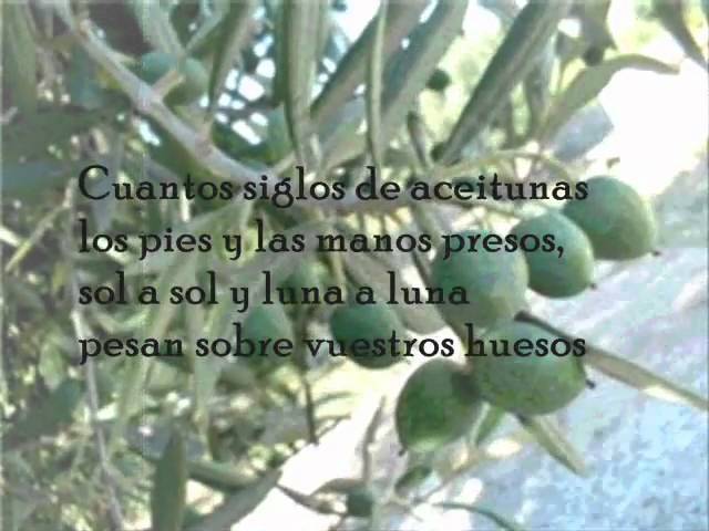 youtubepacoibanezandalucesdejaen Andalucía Noticias 24h youtube paco ibanez andaluces de jaen