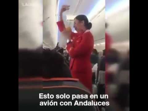 andaluces en un avion