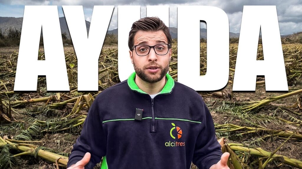 ayudas jóvenes agricultores andalucía requisitos