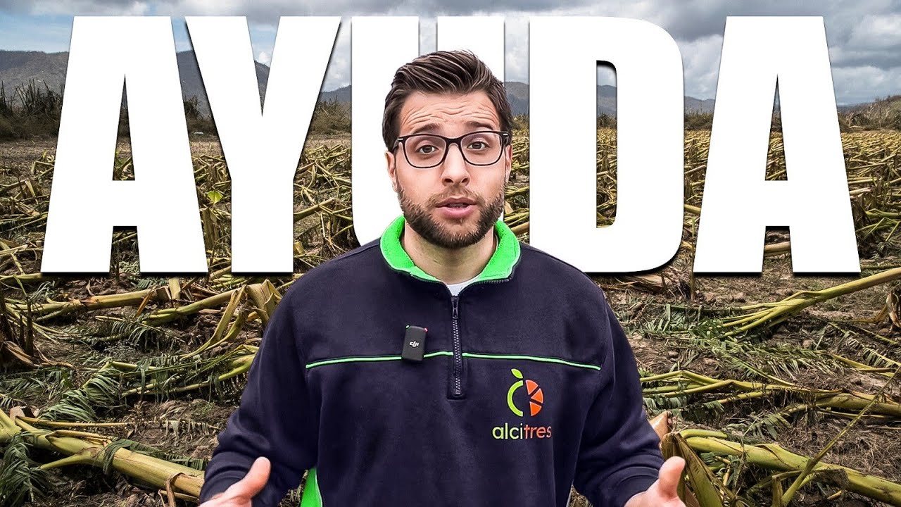 ayudas jóvenes agricultores andalucía requisitos