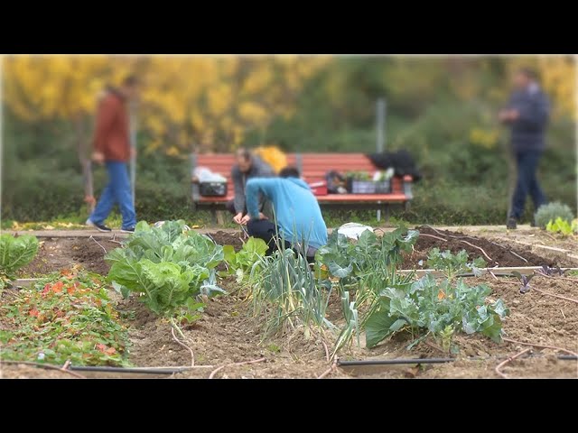 jovenesagricultores2022 Andalucía Noticias 24h jóvenes agricultores 2022