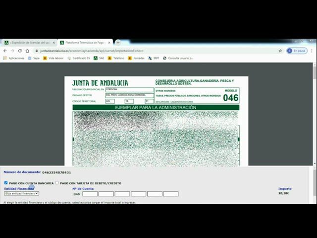 licencia de caza junta de andalucia telefono