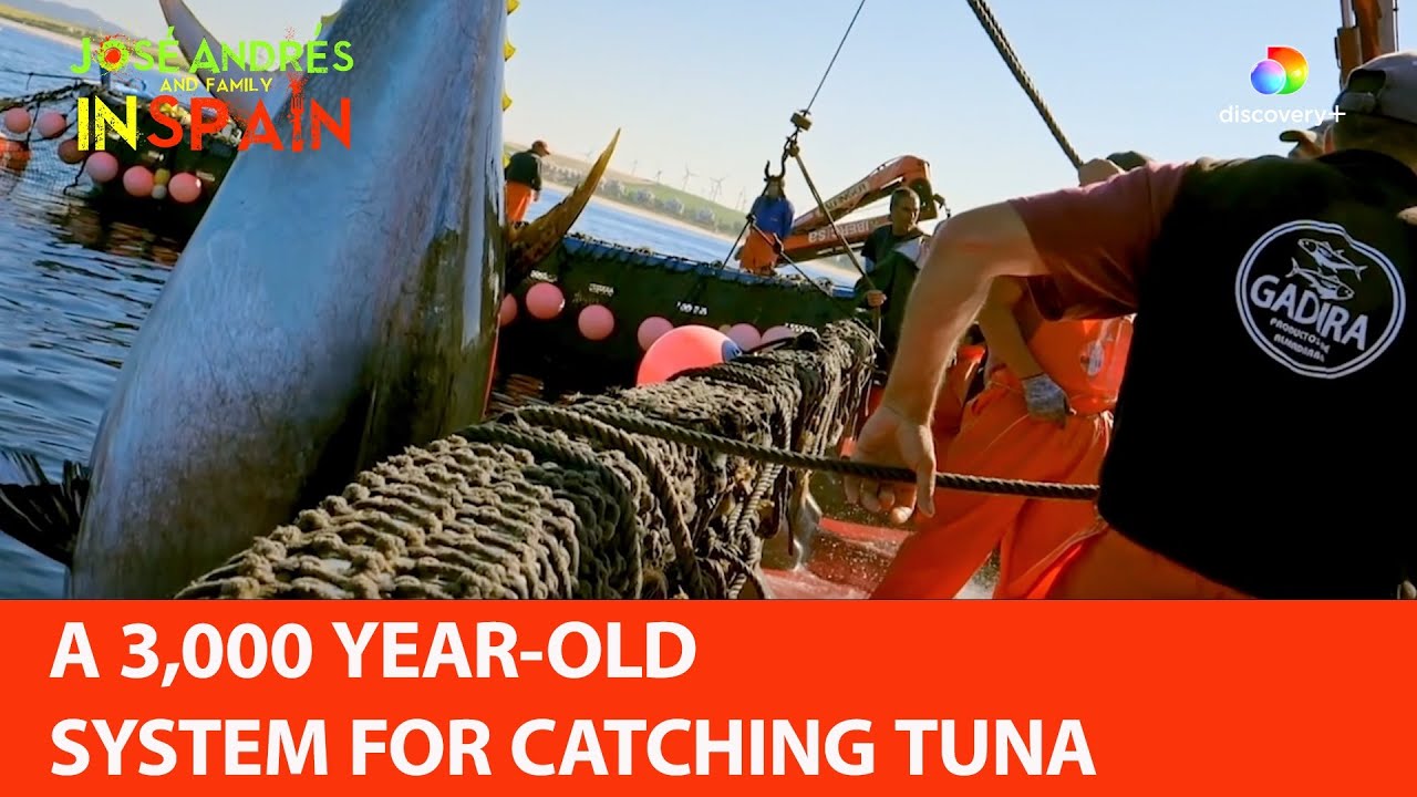 restaurante antonio andalucia tuna