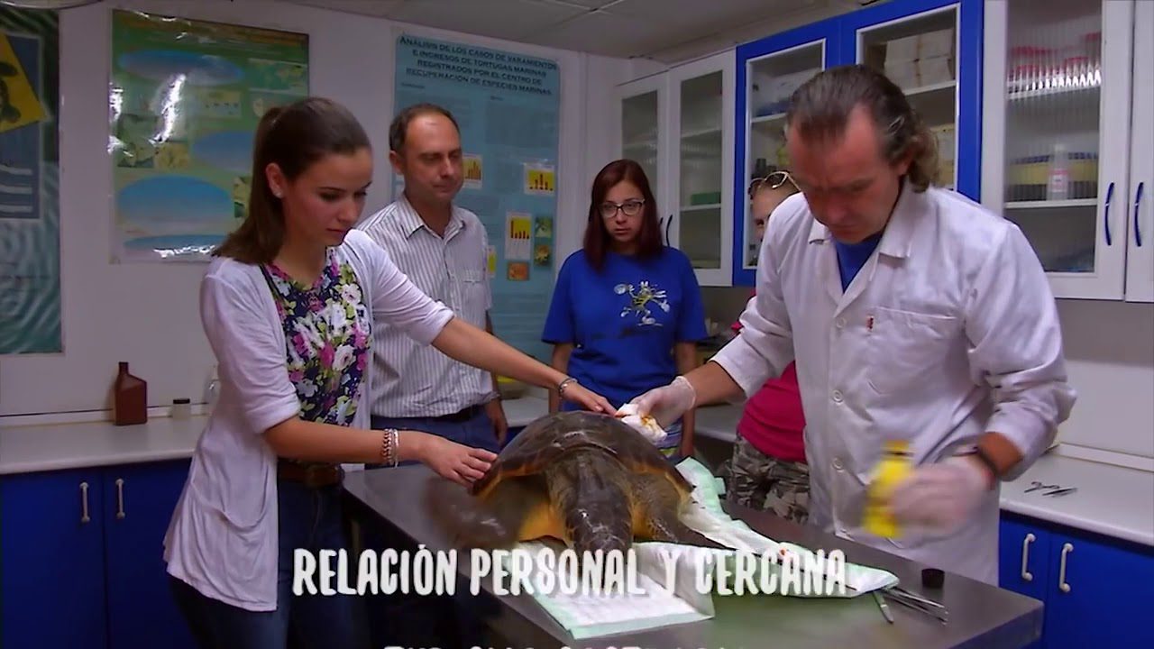 turismoandaluzaccionesvigentes Andalucía Noticias 24h turismo andaluz acciones vigentes