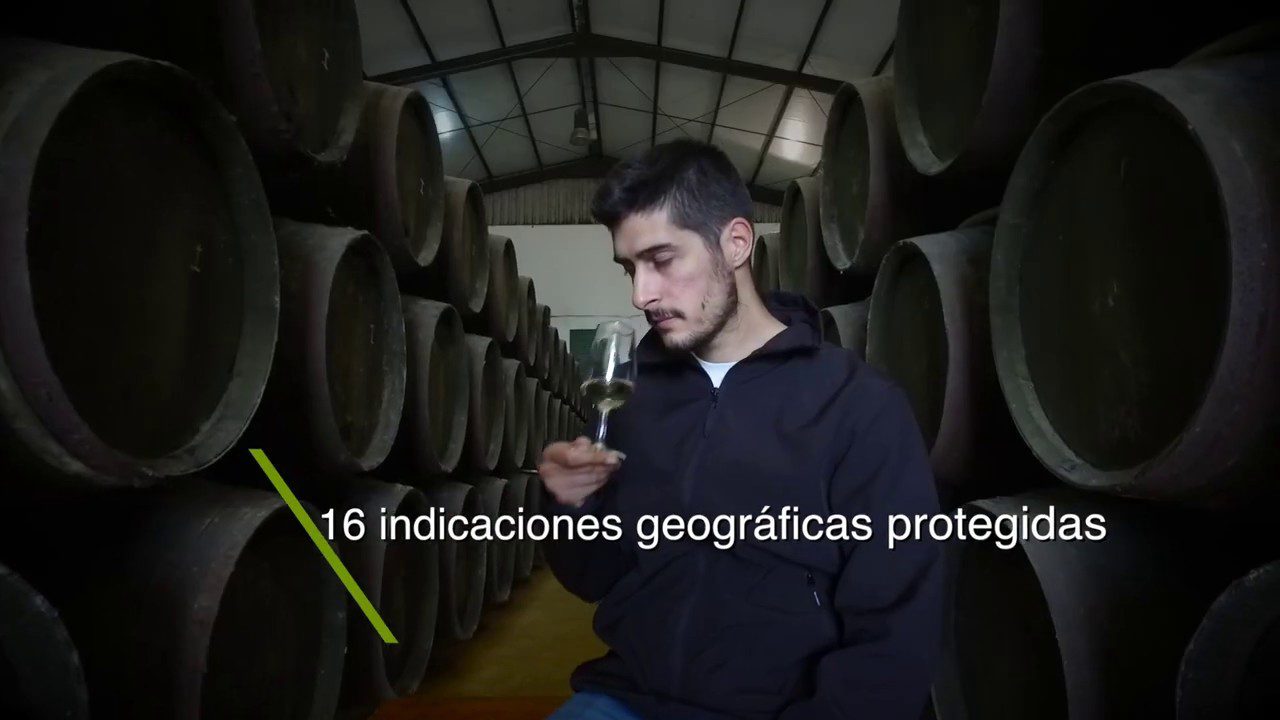 turismo enologico andalucia