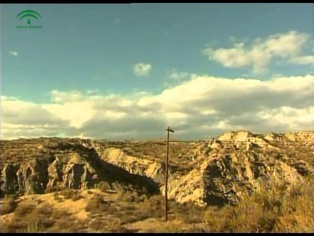 turismojuntadeandaluciaalmeria Andalucía Noticias 24h turismo junta de andalucia almeria