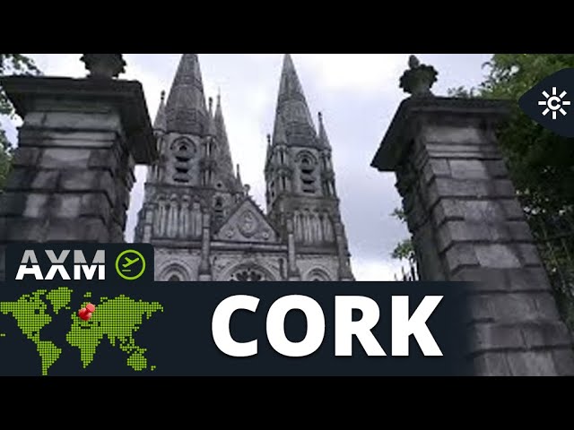videosdeandalucesporelmundo Andalucía Noticias 24h videos de andaluces por el mundo