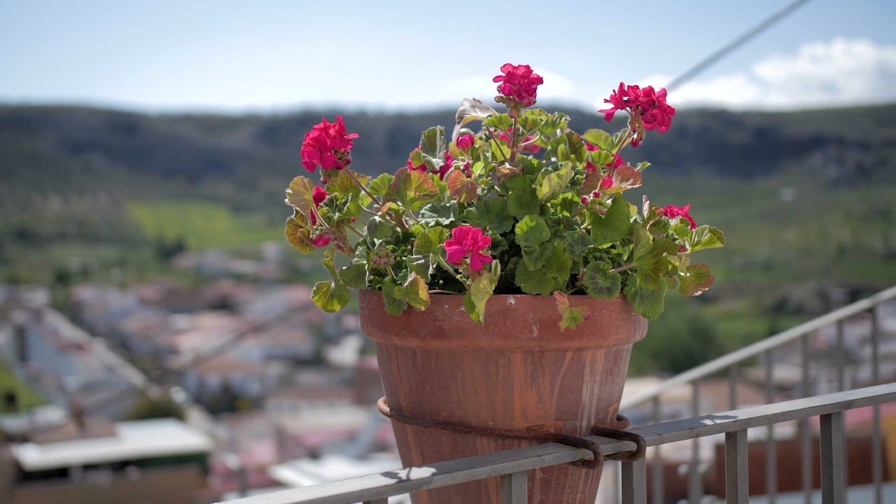 economía de granada andalucía
