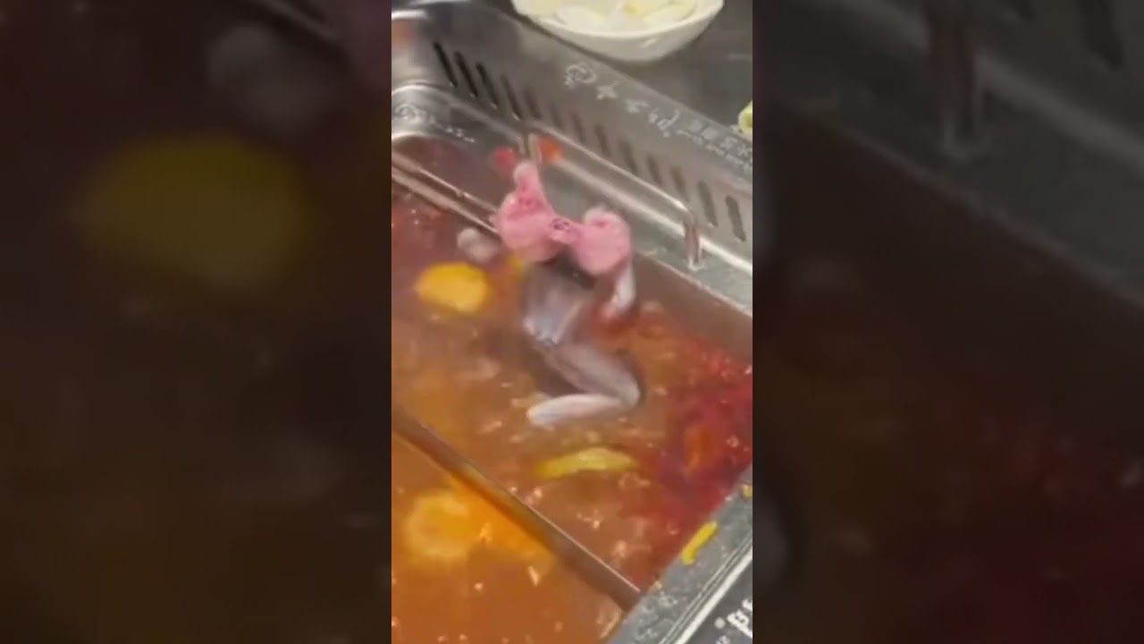 restaurante chino avenida andalucía