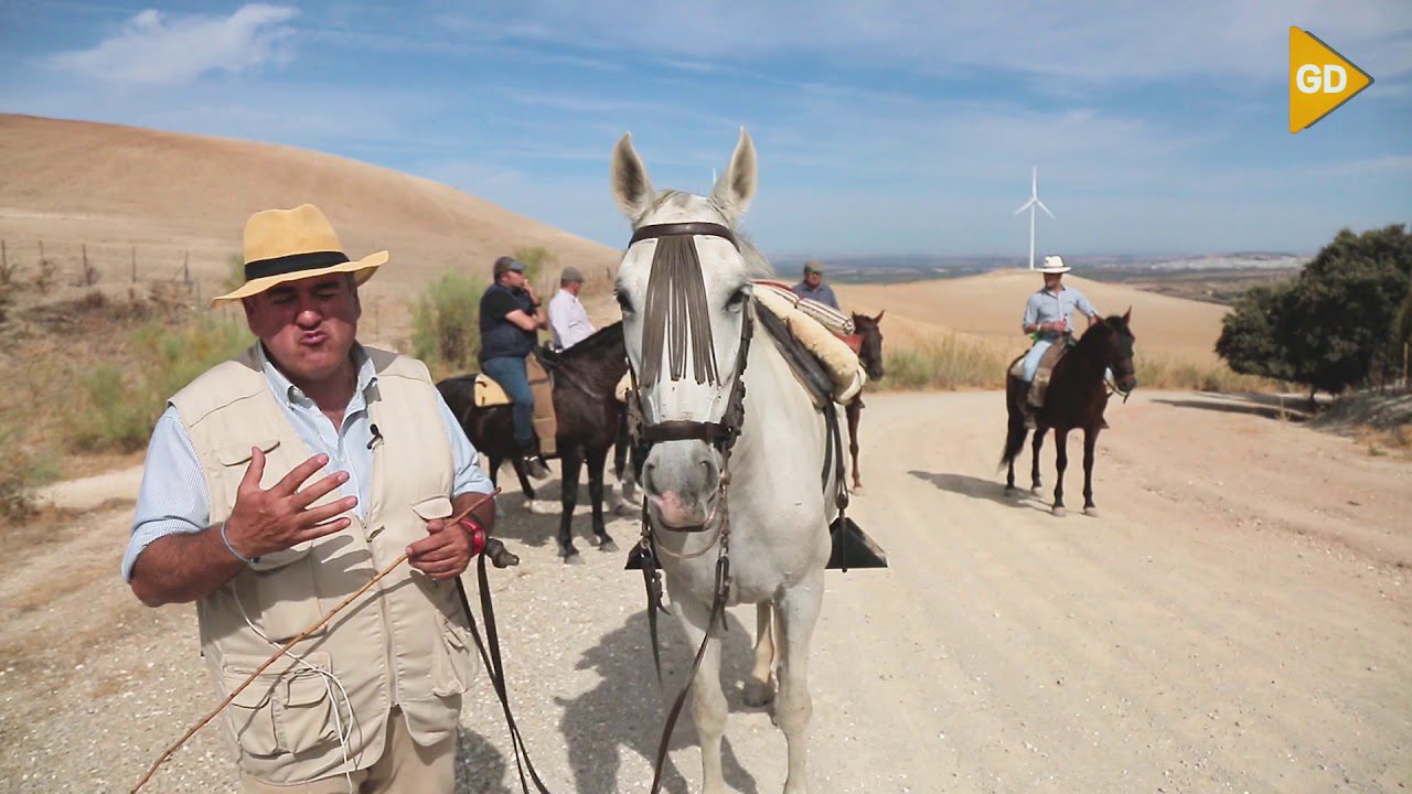 turismoecuestreandalucia Andalucía Noticias 24h turismo ecuestre andalucia