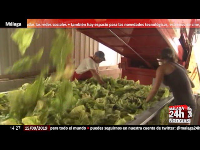 andaluciacreacionempresas Andalucía Noticias 24h andalucia creacion empresas