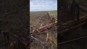 agrometalandaluces Andalucía Noticias 24h agrometal andaluces