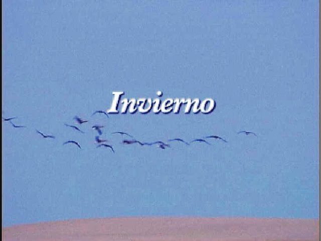 qué visitar en Doñana en invierno