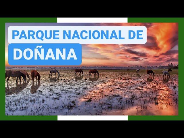 qué visitar en Doñana en verano