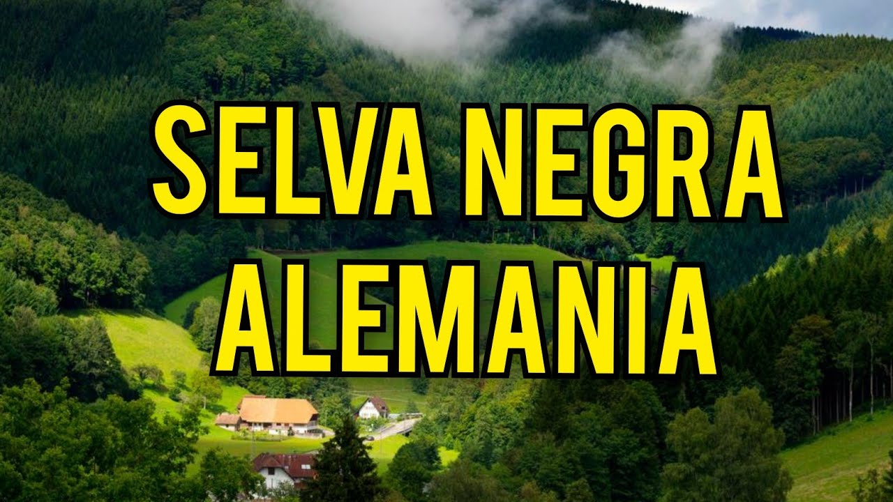andalucesporelmundoselvanegra Andalucía Noticias 24h andaluces por el mundo selva negra