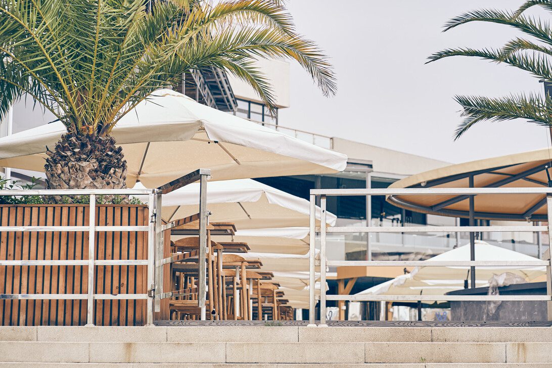 Date palms at the entrance of the outdoor cafe The restaurant is located on an outdoor summer terrace with an umbrella from the sun under a palm tree There is a place to copy Andalucía Noticias 24h