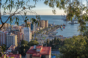 A seaside cityscape with high rise buildings along a harbor viewed from a hillside framed by branches
