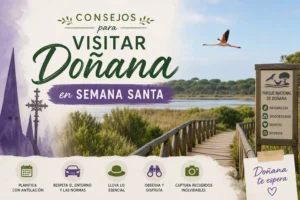 consejosparavisitarDonanaenSemanaSanta Andalucía Noticias 24h consejos para visitar Doñana en Semana Santa